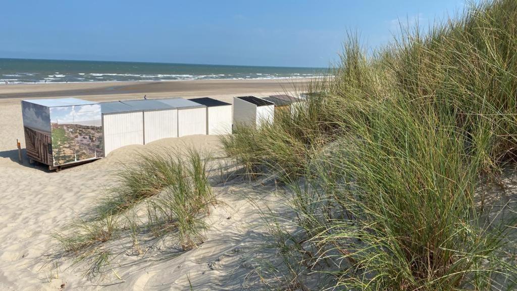אוסטקאפלה Strandhotel Dennenbos מראה חיצוני תמונה